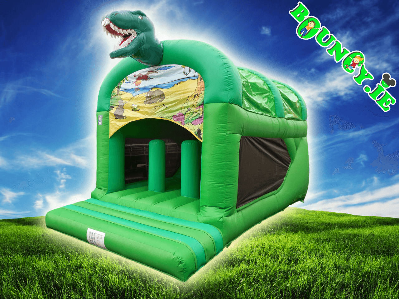 dino 12x20ft